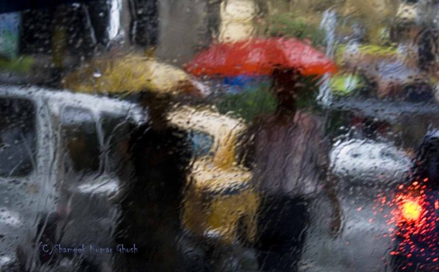 The pouring rain Photo courtesy: Shameek Kumar Ghosh